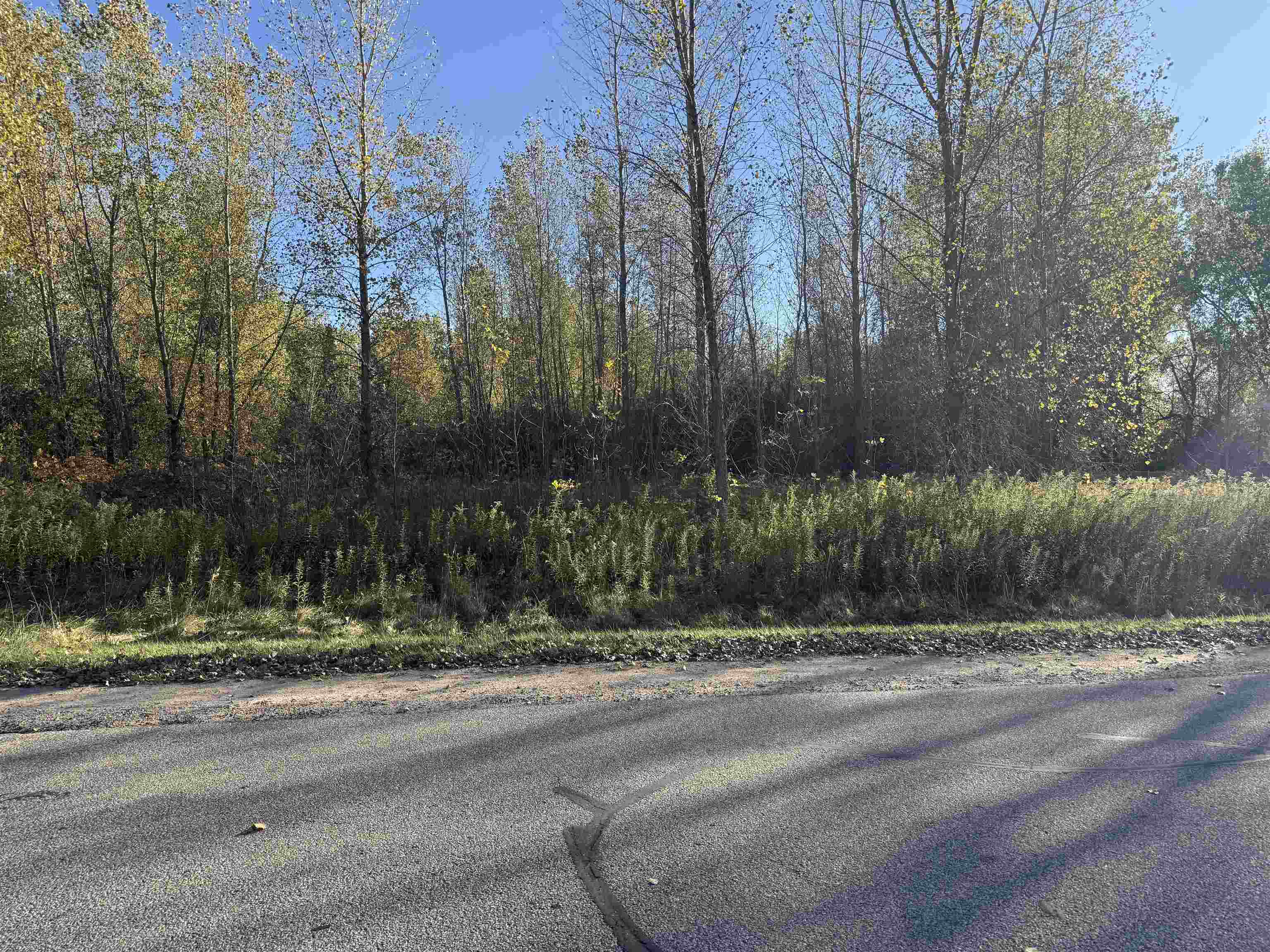 Willow Wood Street Property Photo 1