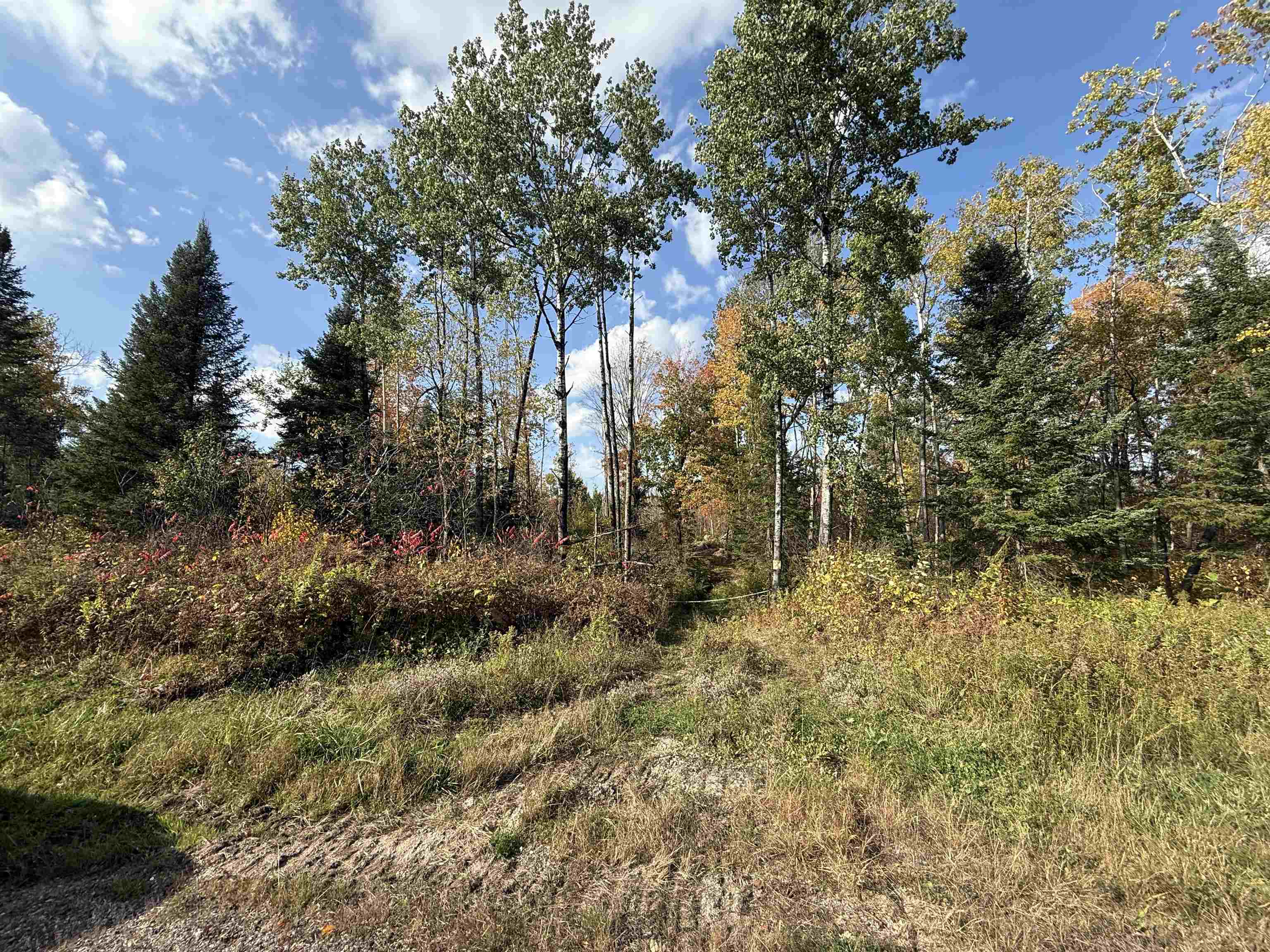 Hwy 52 Property Photo 1