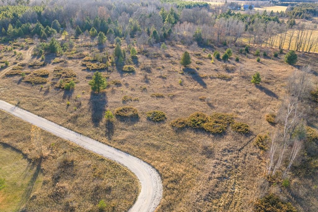 WILD NEST Road
