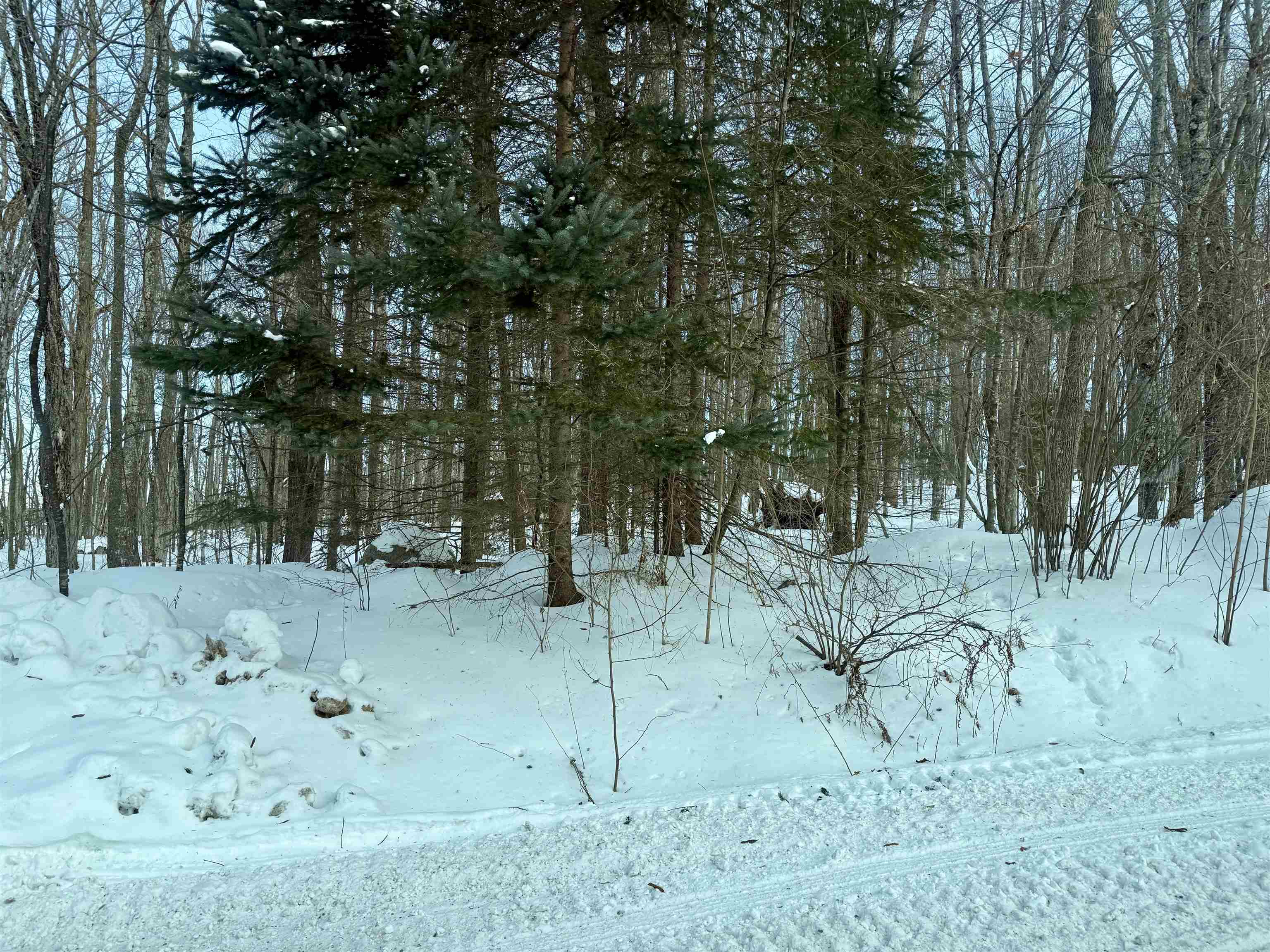 Jones Avenue Property Photo 1