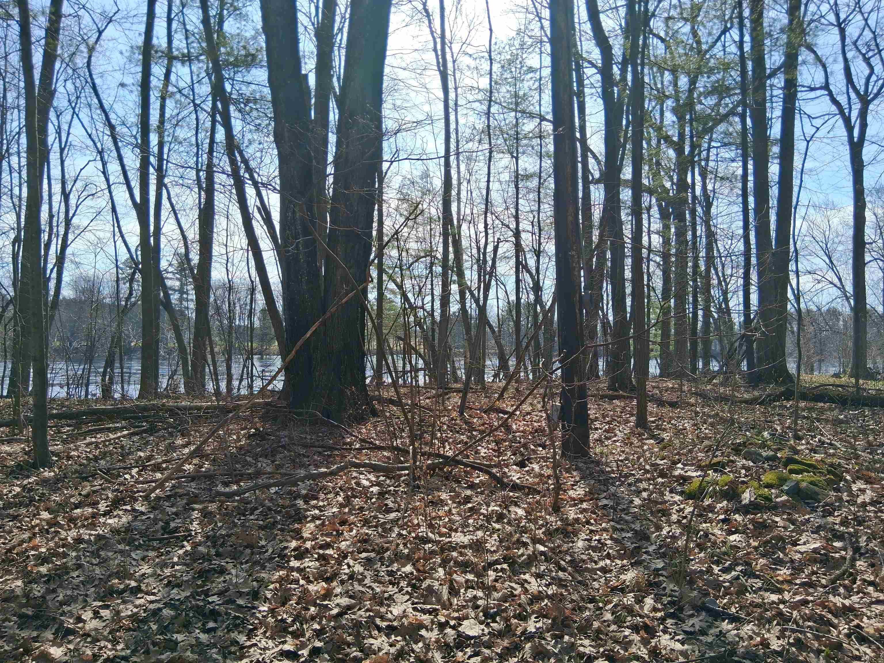 Twin Pine Lane Property Photo 1