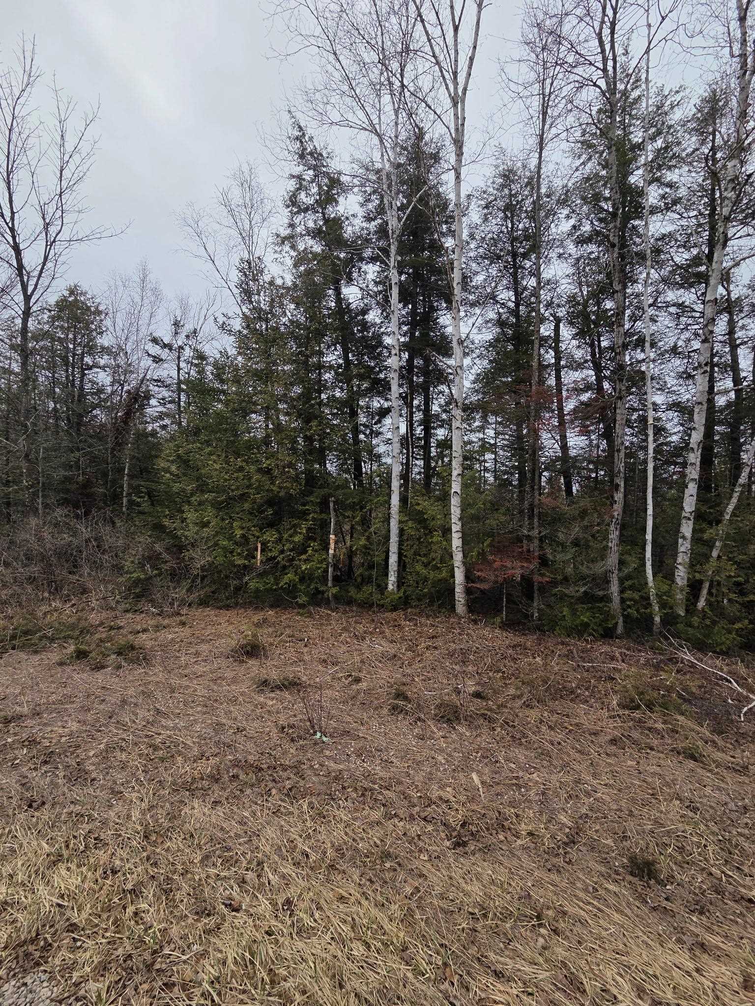 County Road G Property Photo 1