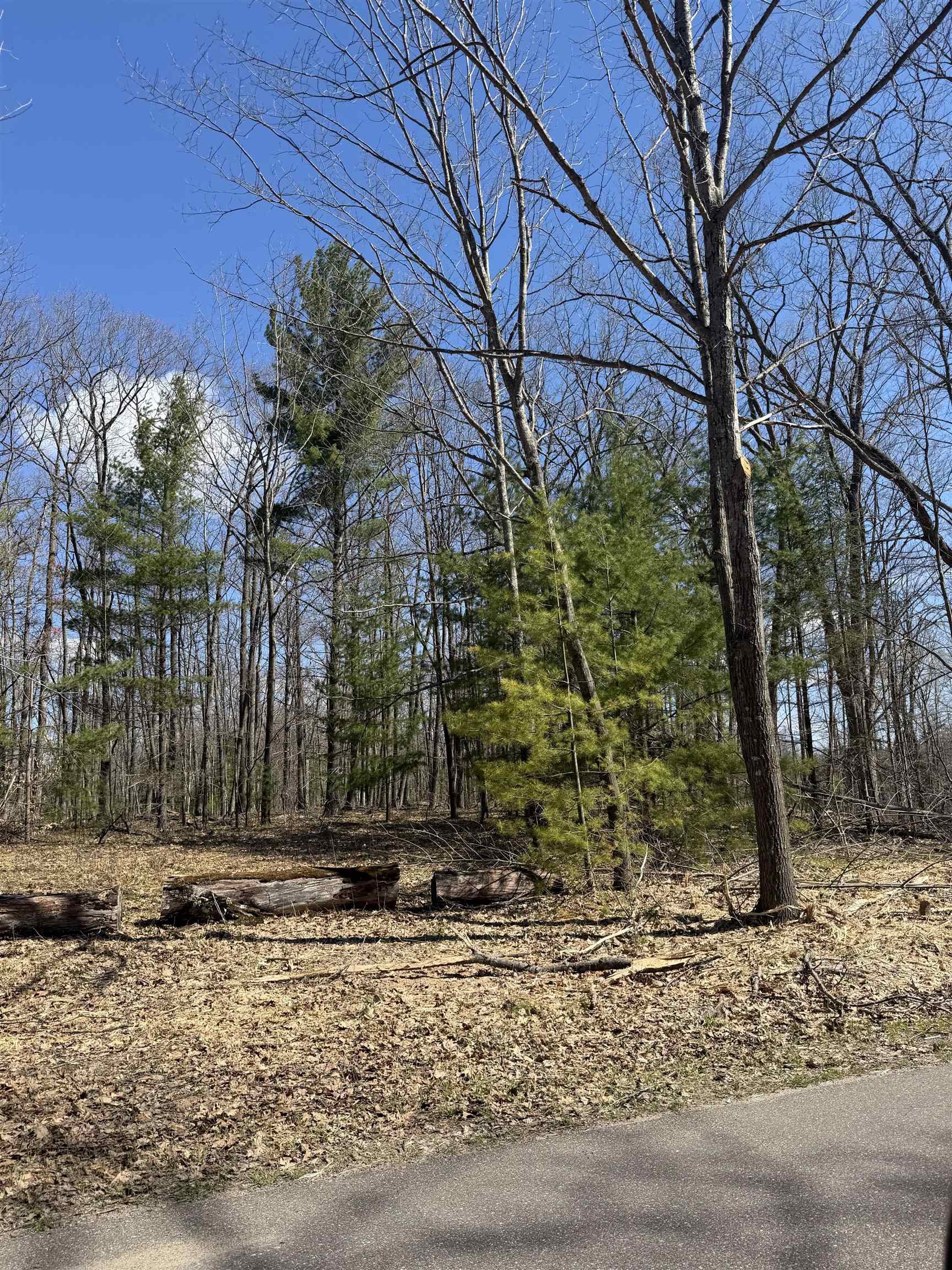 Archibald Lake Road Property Photo 1