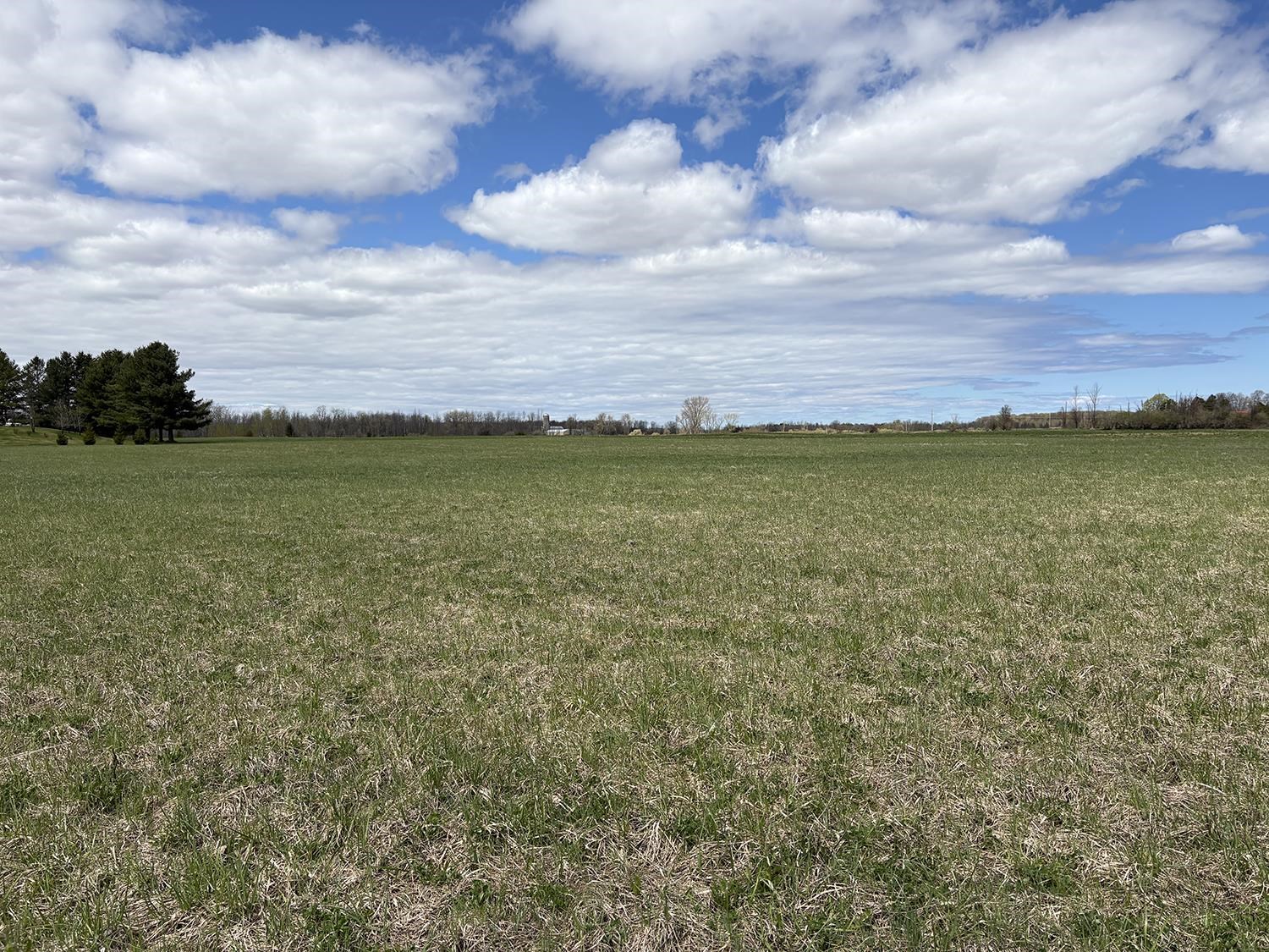 Snyder Lane Property Photo 1