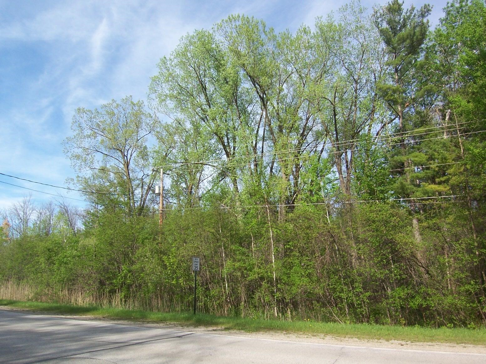 13628 Velp Avenue Property Photo 1