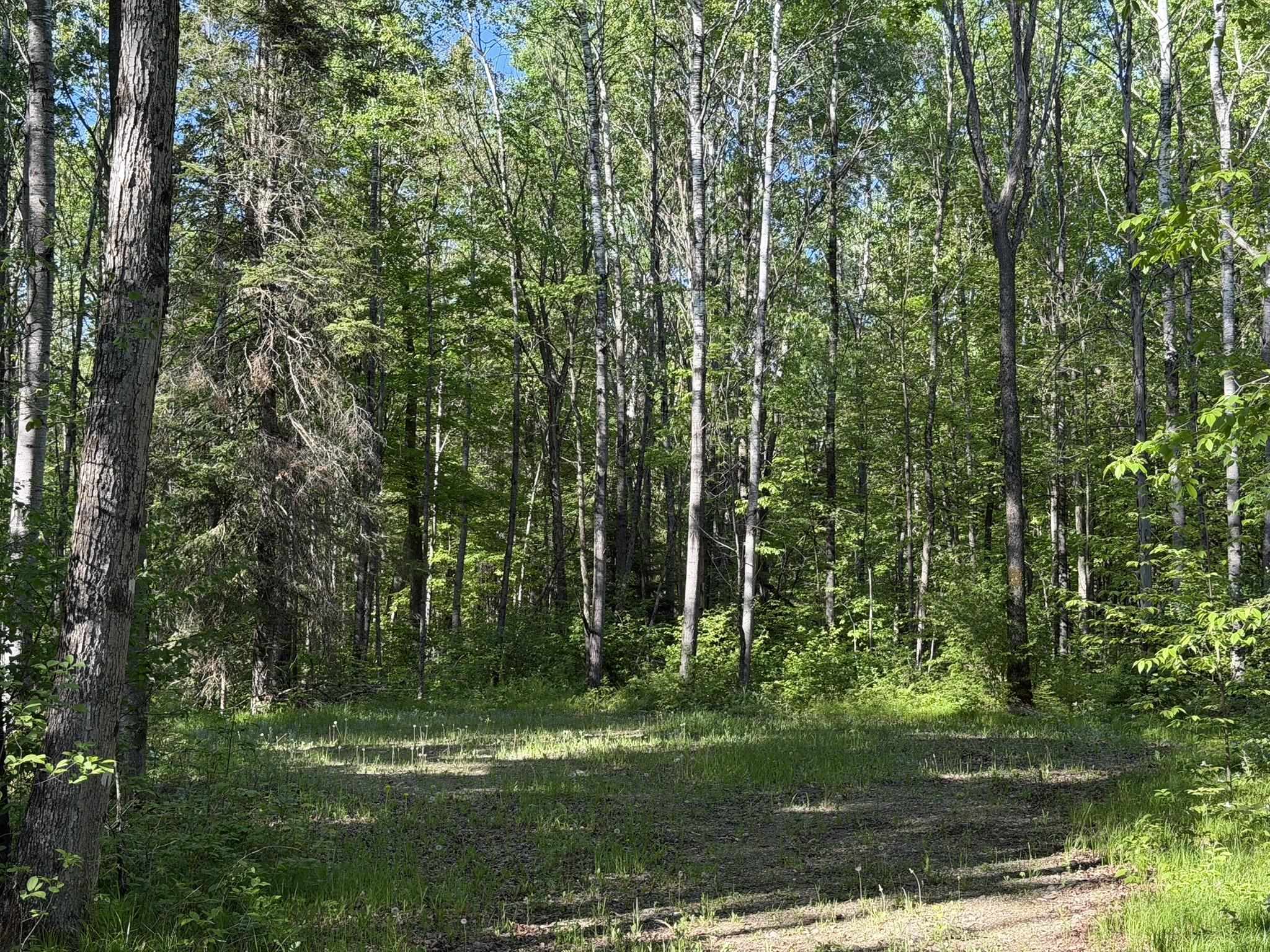 Dream Lake Road Property Photo 1