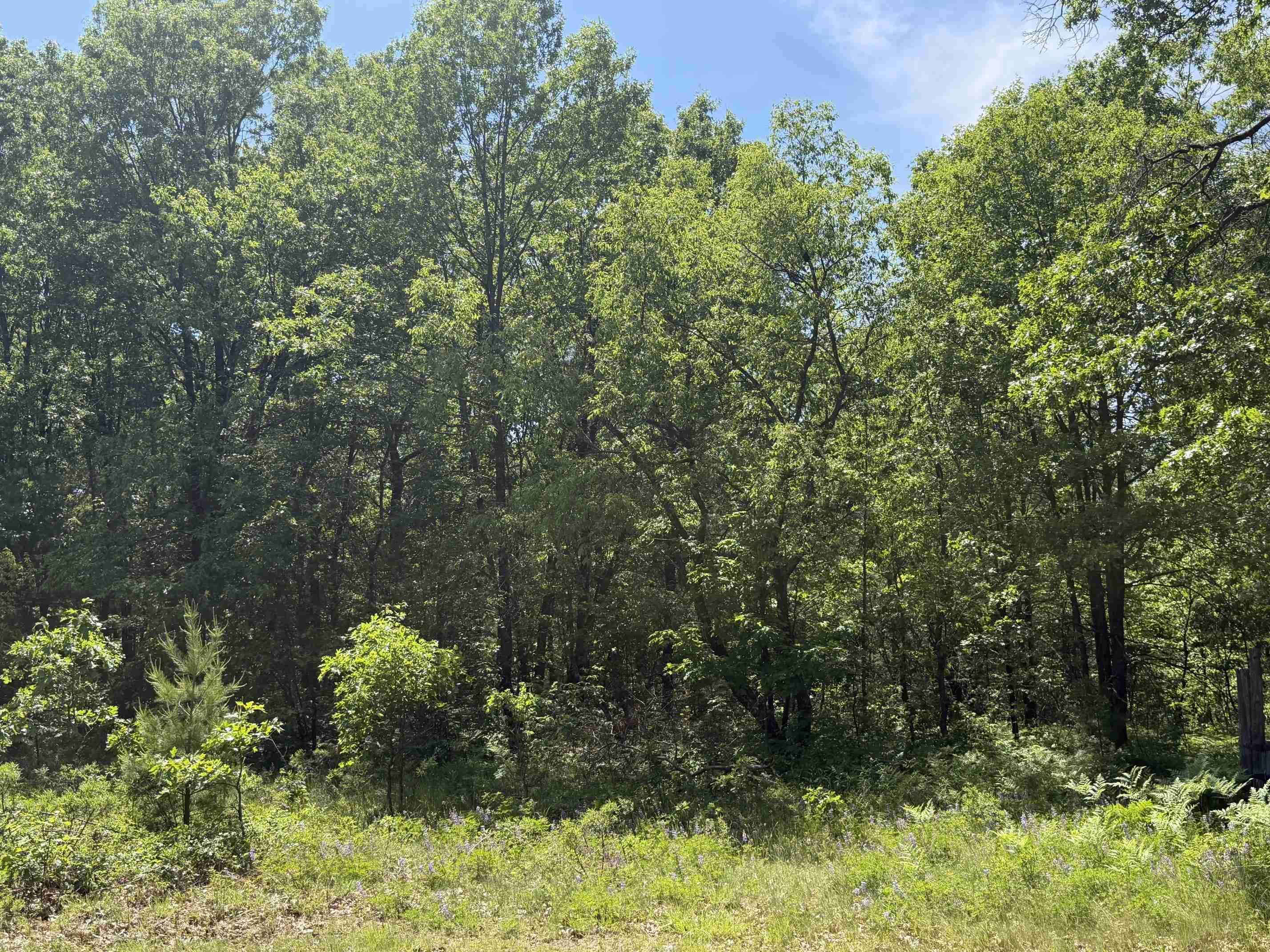 North Court Property Photo 1
