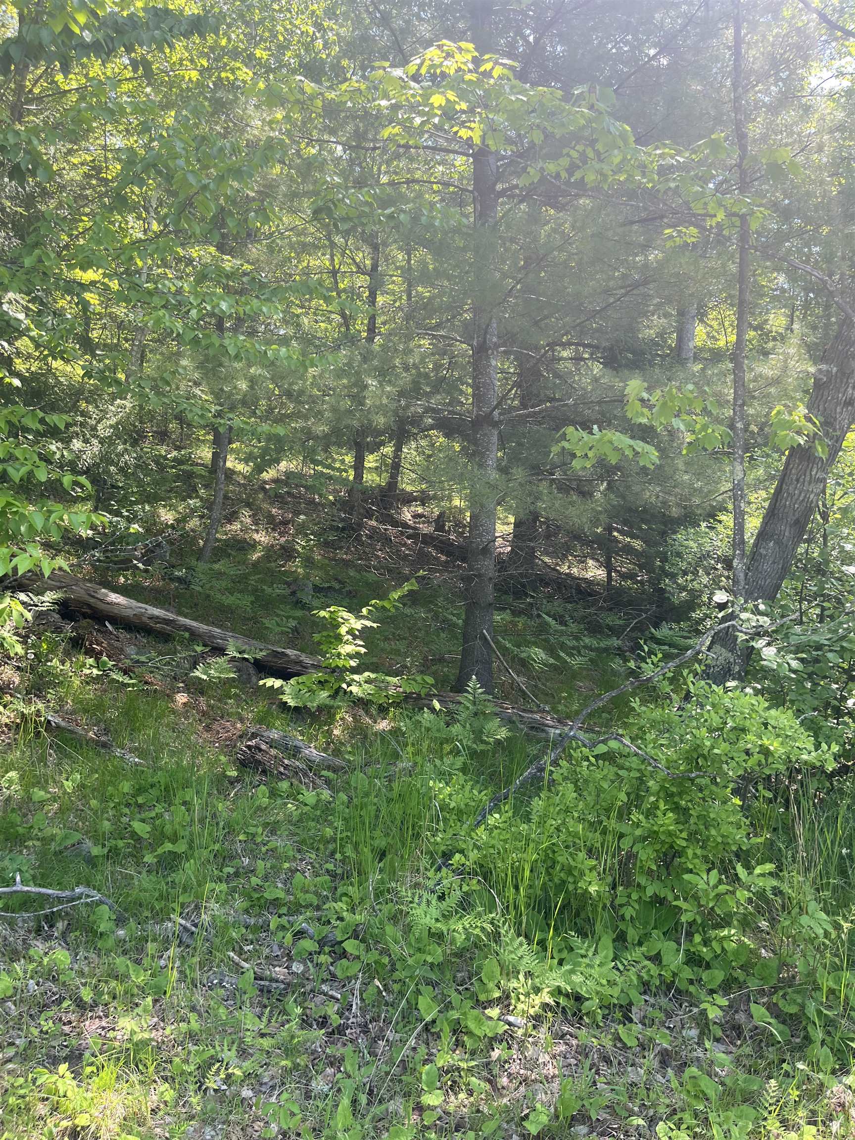 Lake John Road Property Photo 1
