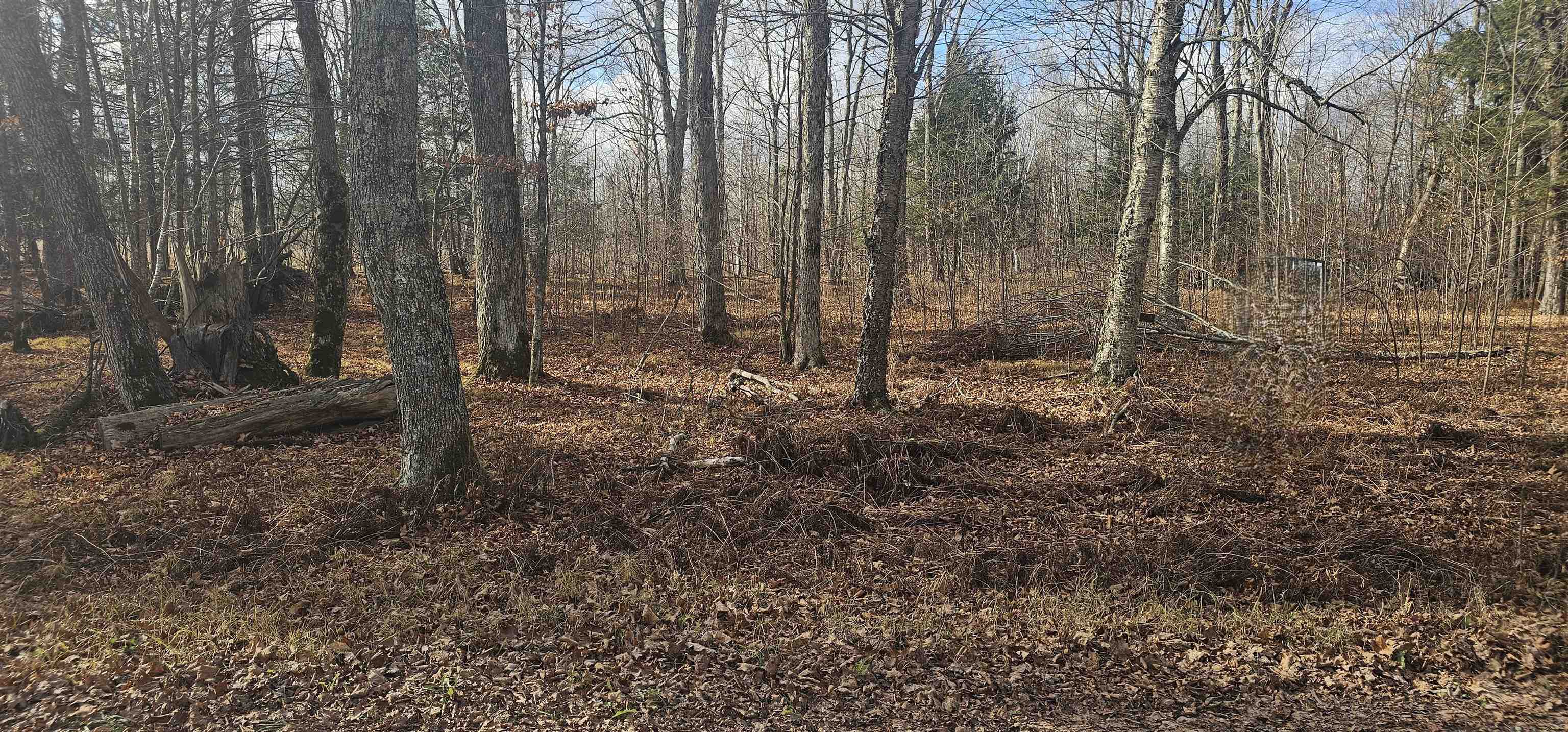 Chip N Dale Drive Property Photo 1