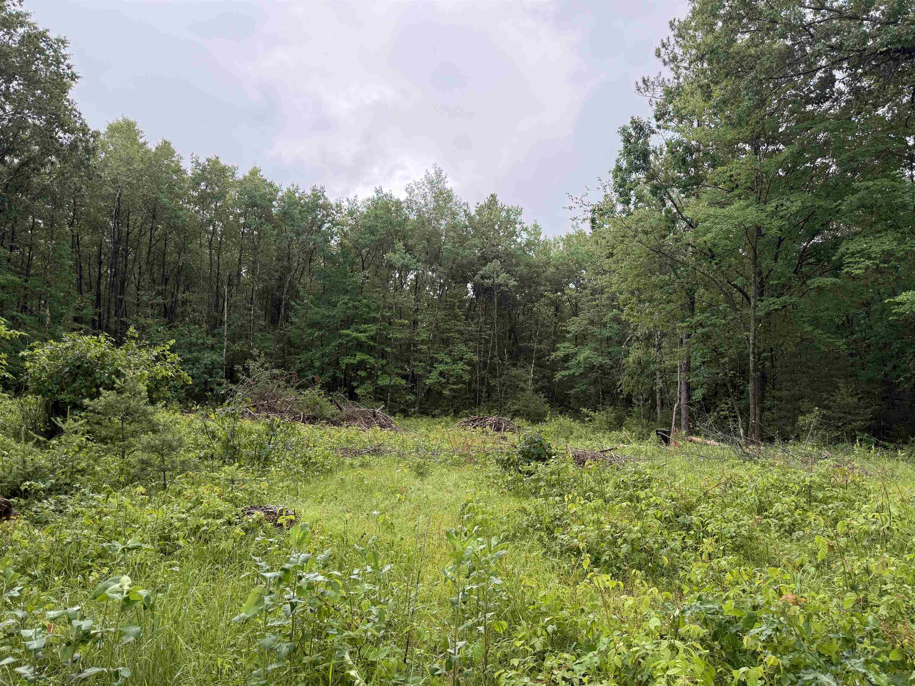 W1561 Hawks Nest Trail Property Photo 1
