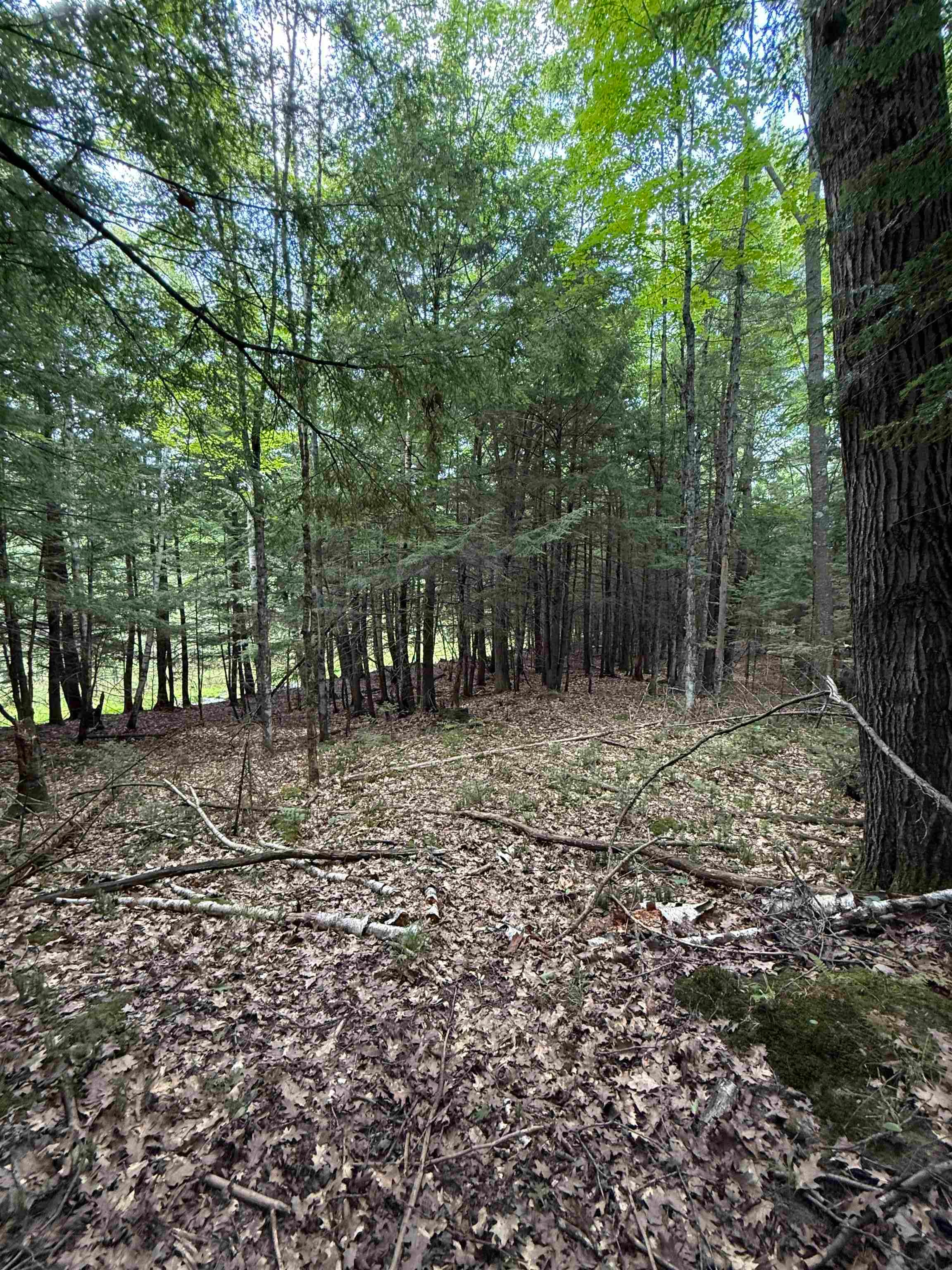 Deer Lane Property Photo 1