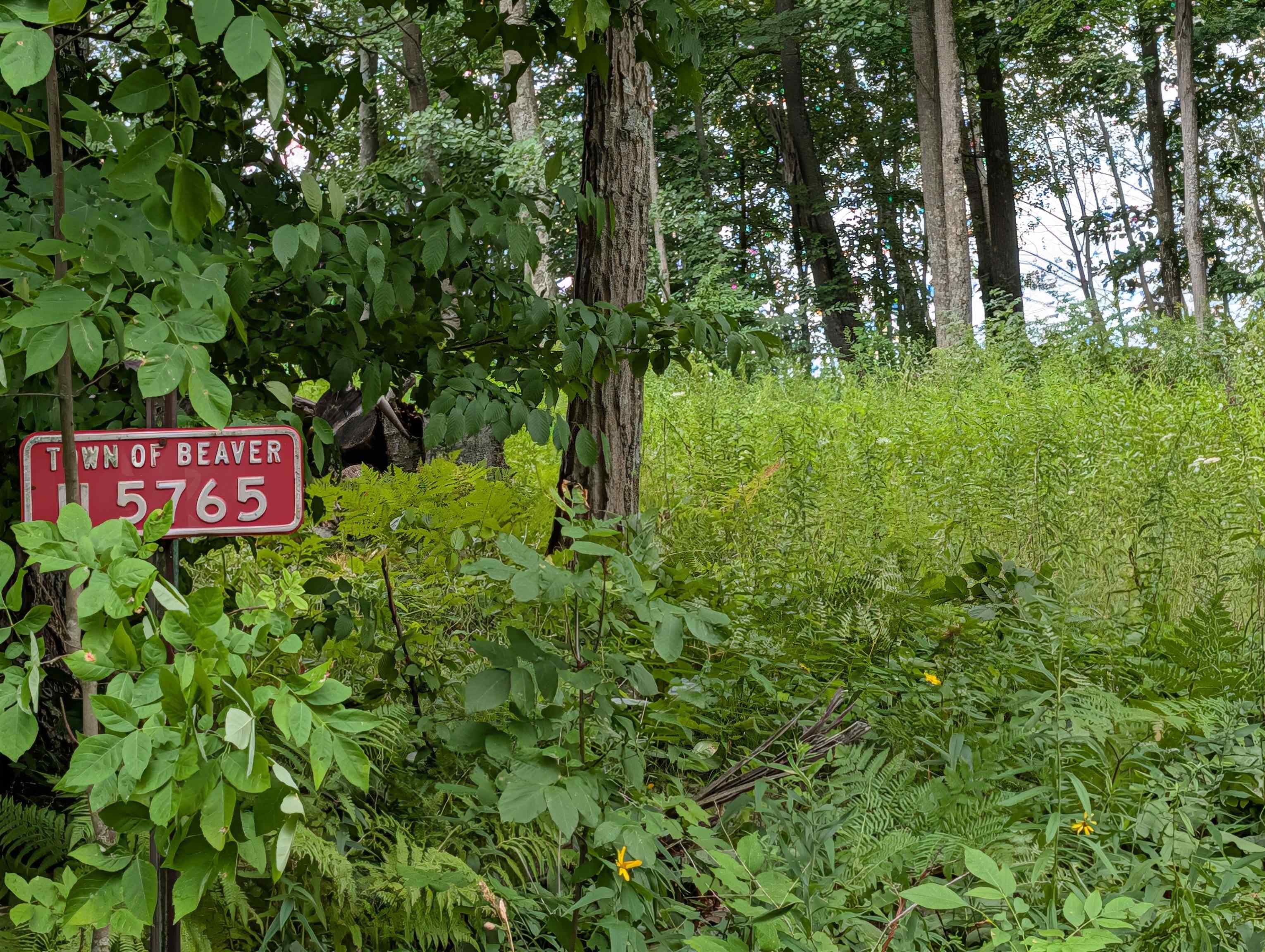 N5765 Parkway Road Property Photo 1