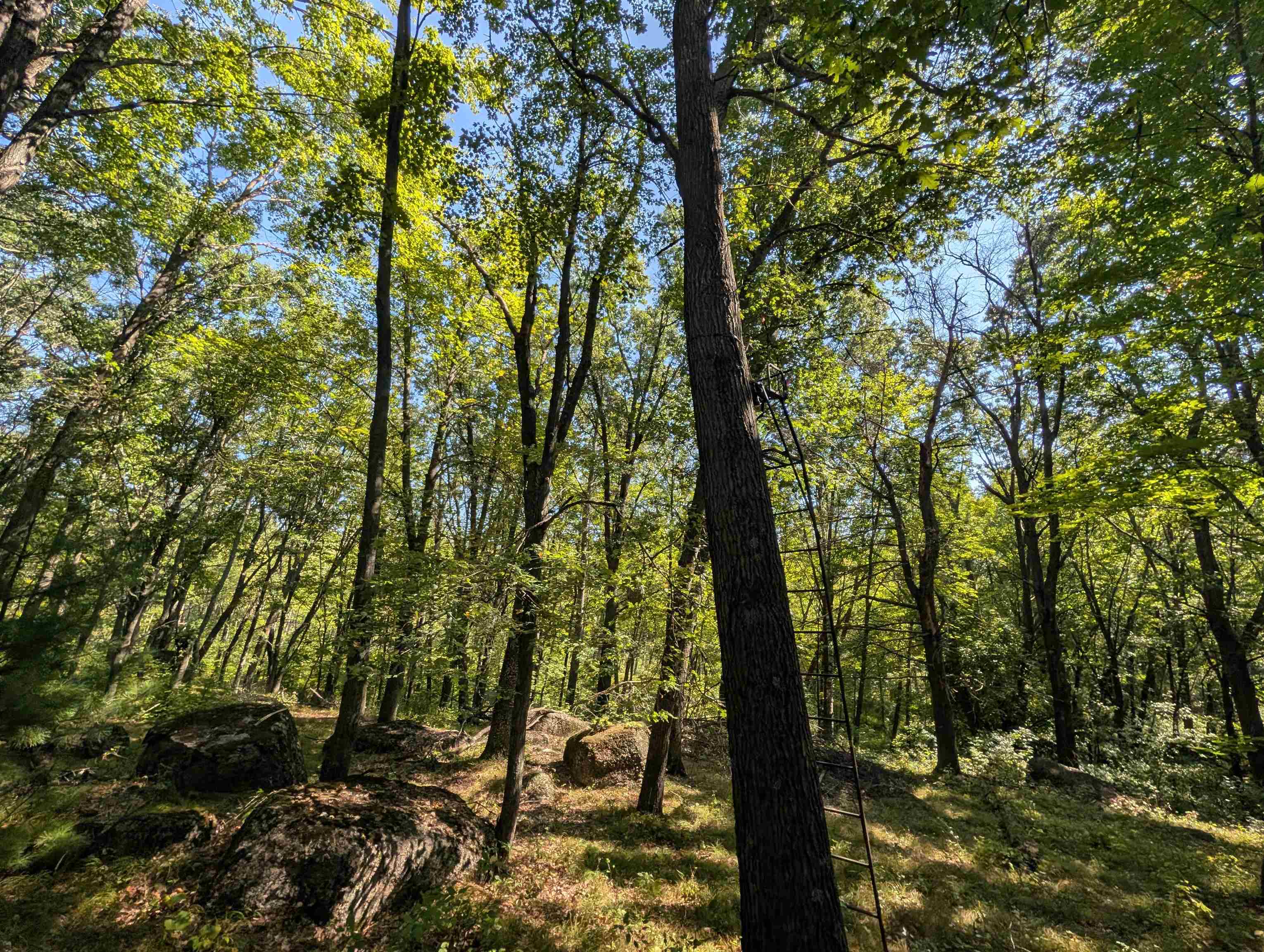 N6161 County Road K Property Photo 1