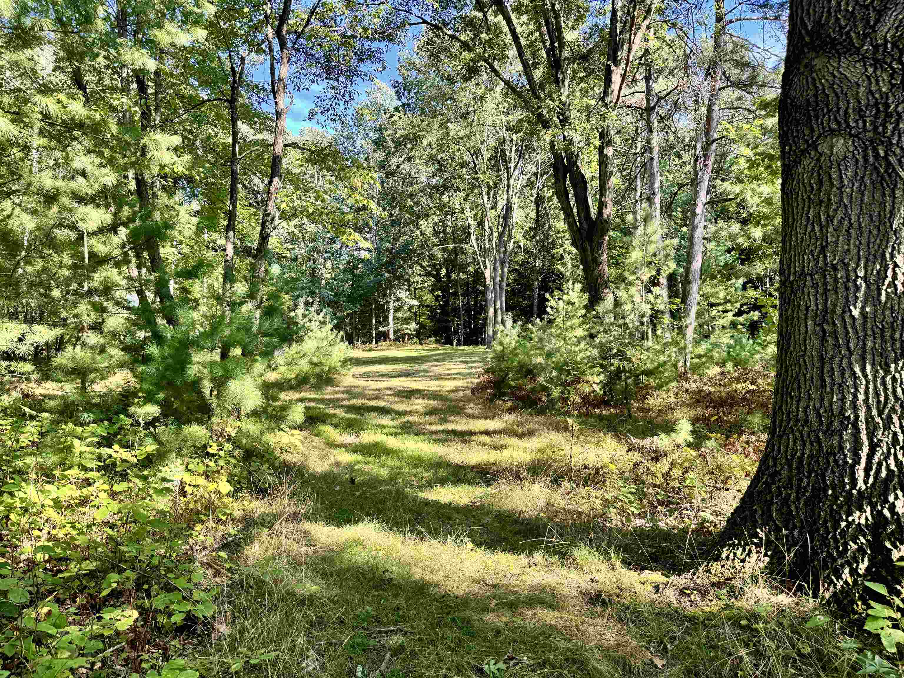 Maplewood Lane Property Photo 1