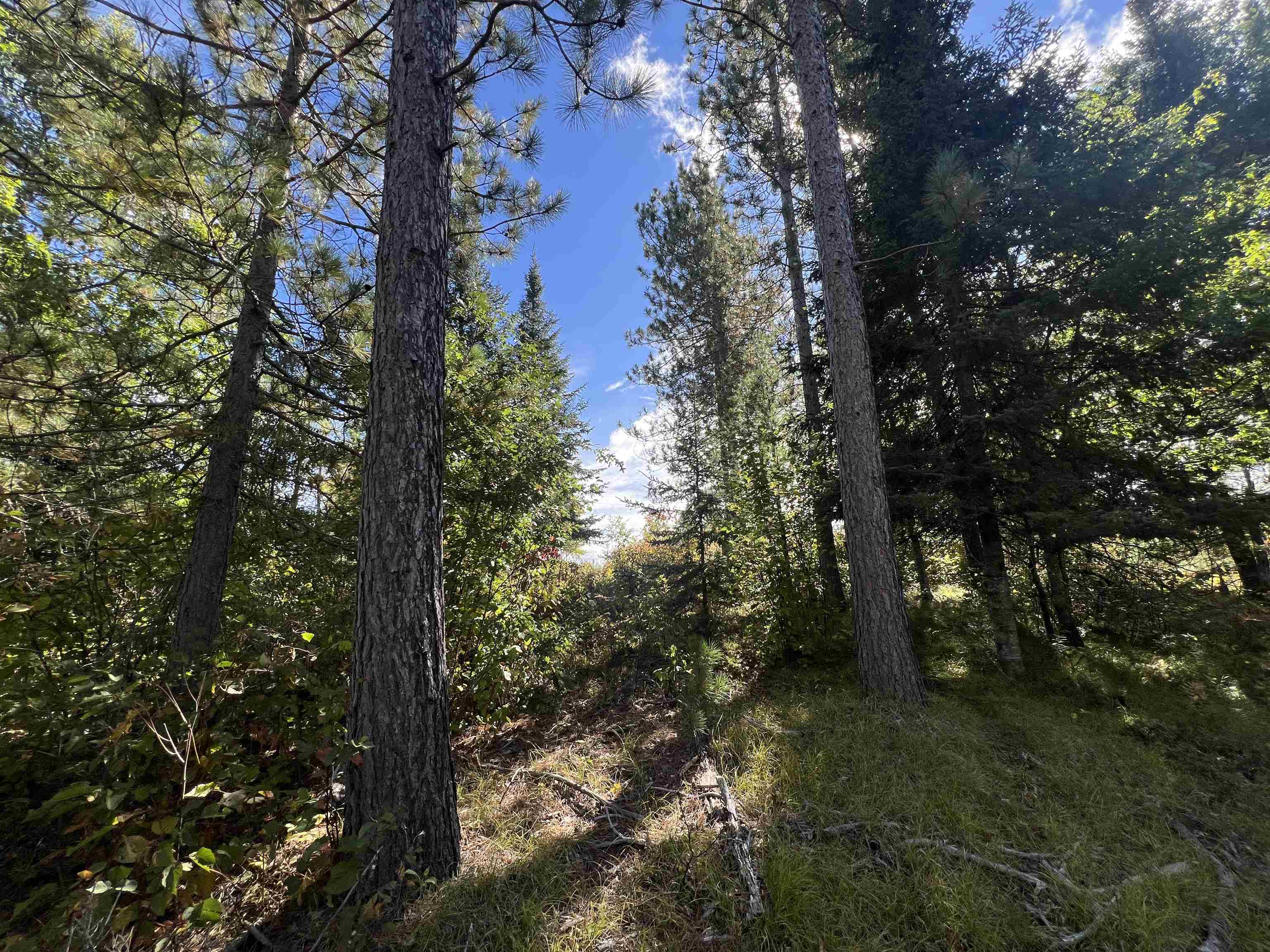 Gehling Road Property Photo 1