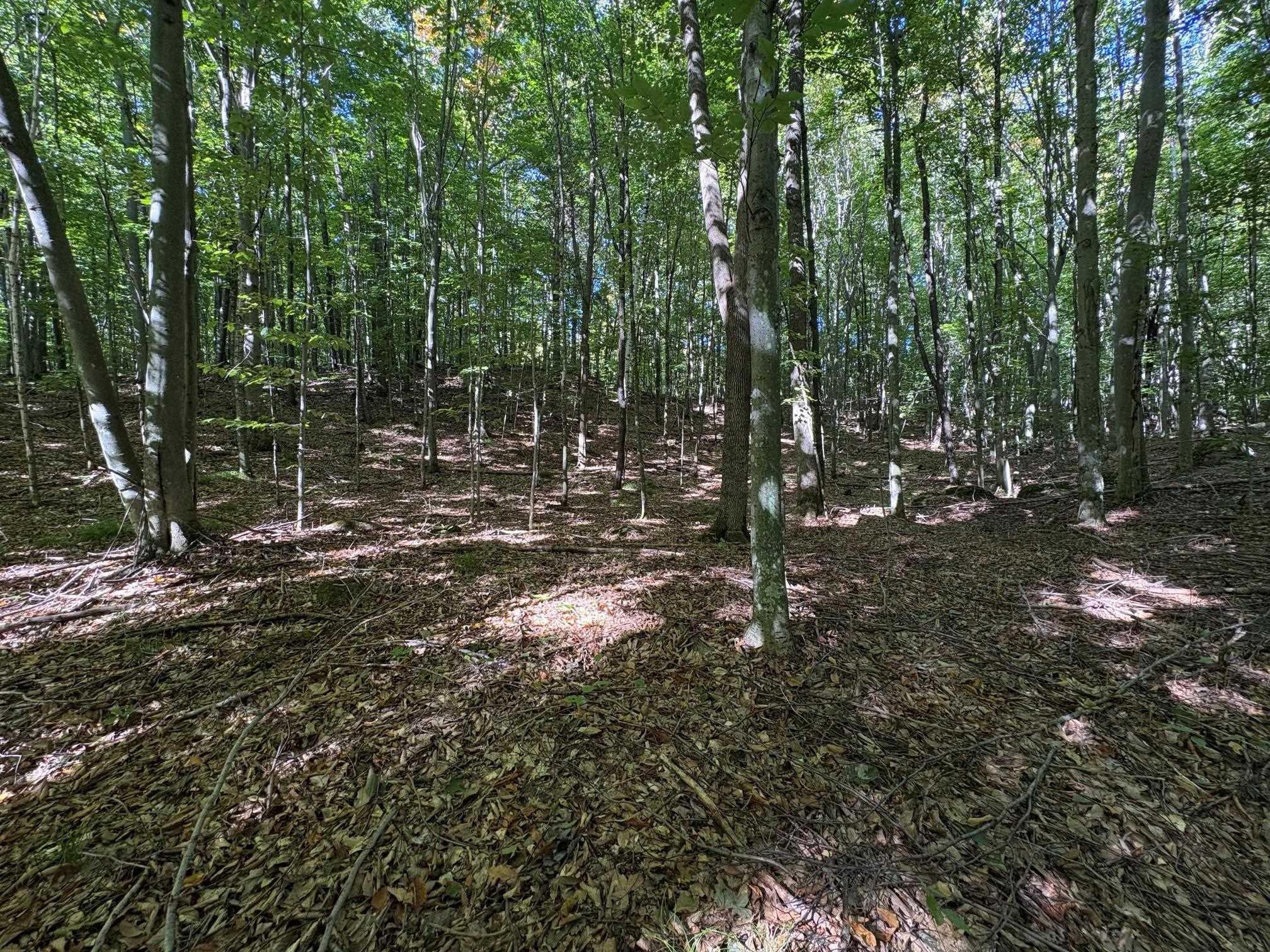 Bear Cave Road Property Photo 1