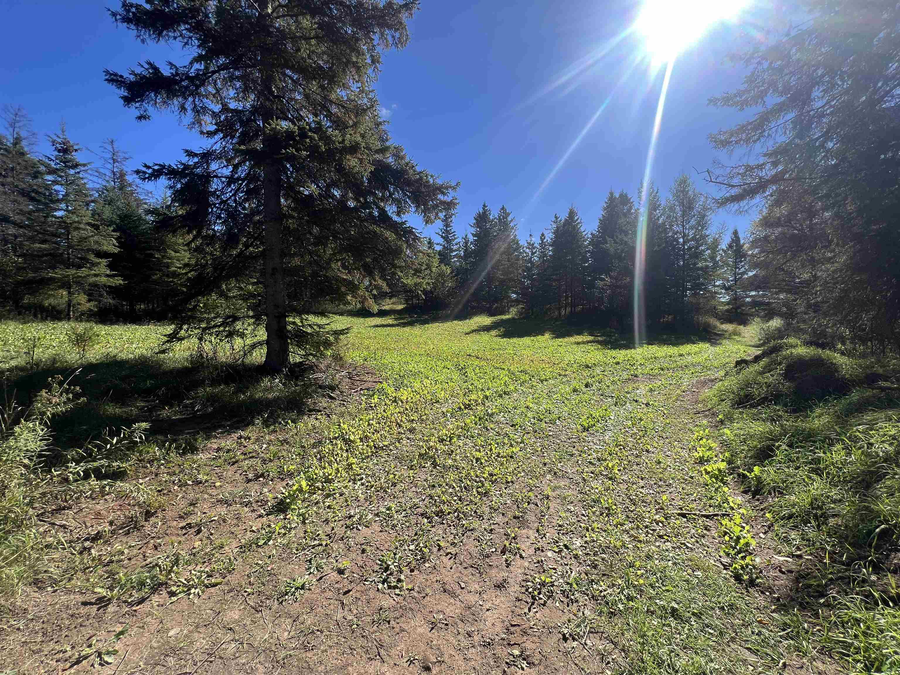 Badish Road Property Photo 1