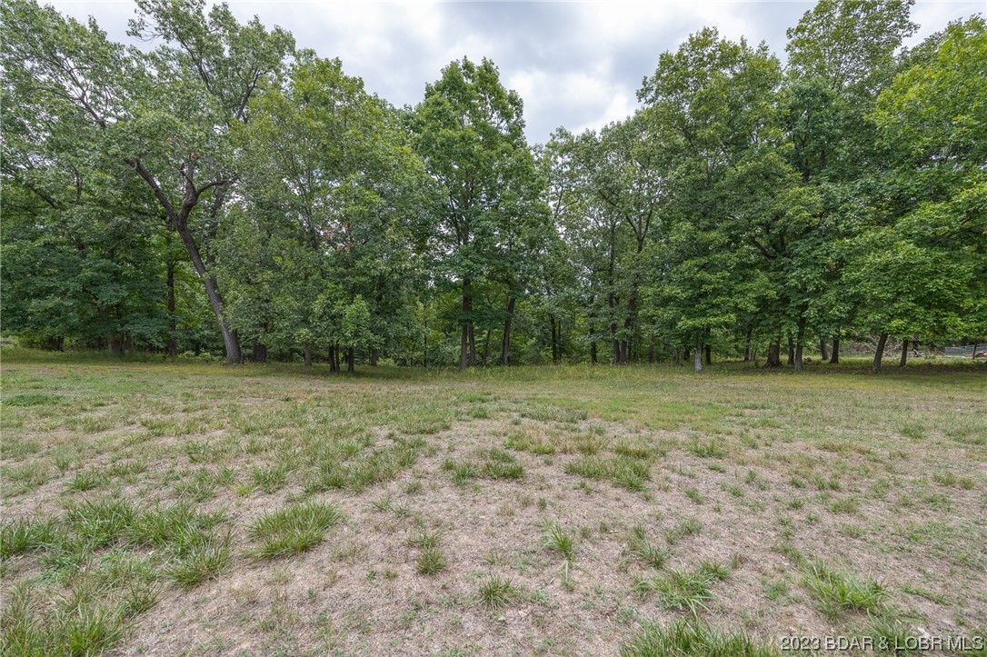 Tbd South Buck Creek Road Property Photo 6