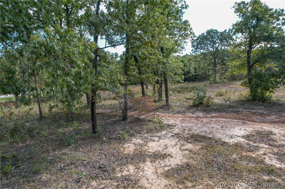 Tbd Hwy 52 Property Photo 8