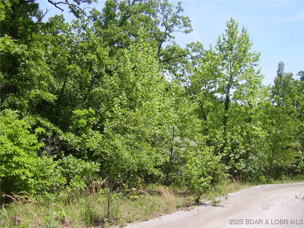20 Silver Spur Court Property Photo 1