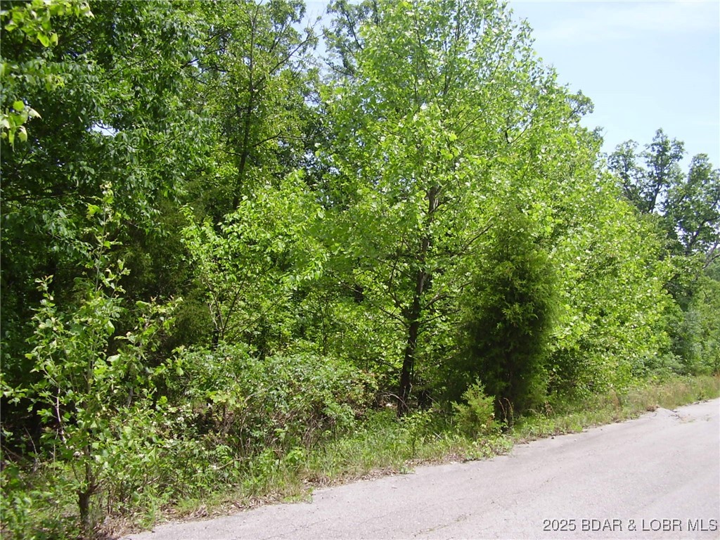 19 Silver Spur Court Property Photo 1
