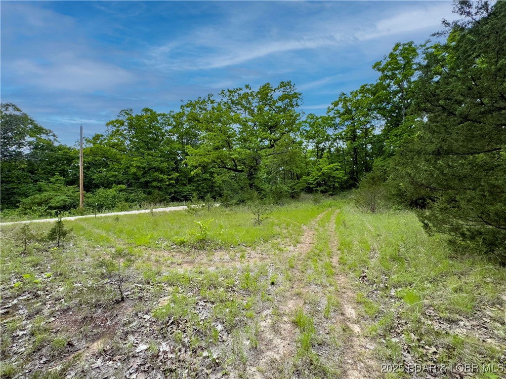 27689 Eagle Pass Property Photo 6