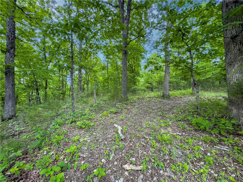 27689 Eagle Pass Property Photo 12