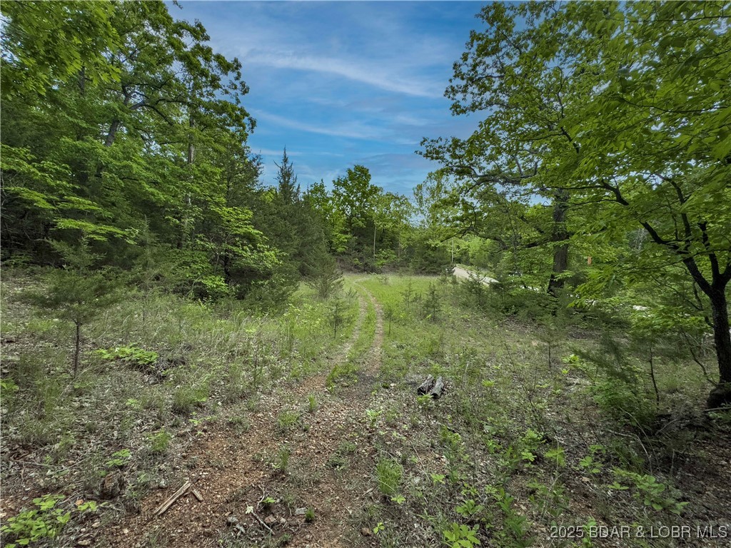 27689 Eagle Pass Property Photo 13