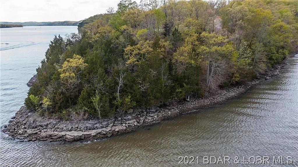 504 Forest Trace Property Photo 7