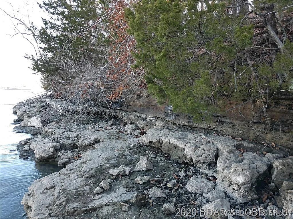 504 Forest Trace Property Photo 10