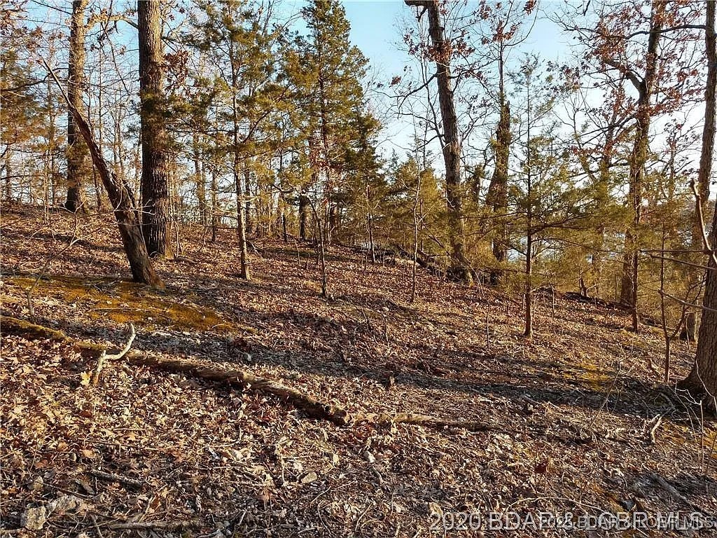 504 Forest Trace Property Photo 15