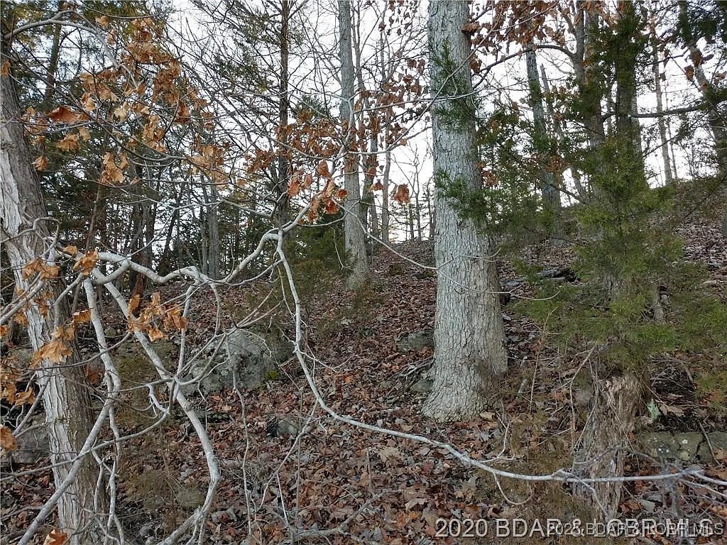 504 Forest Trace Property Photo 17