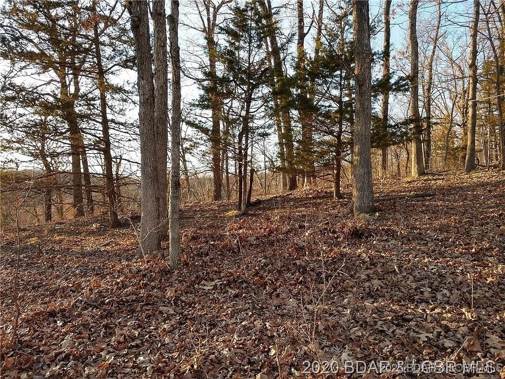 504 Forest Trace Property Photo 18