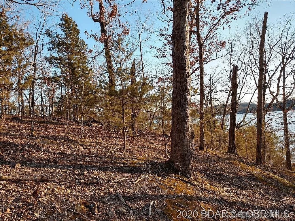 504 Forest Trace Property Photo 19