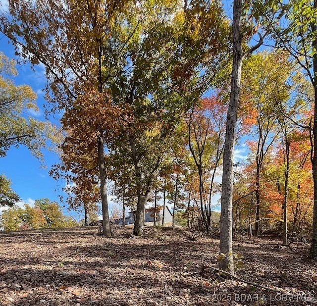 3579261 Property Photo 12