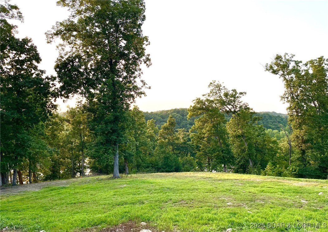 3579261 Property Photo 22