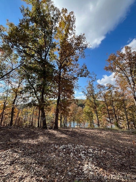 3579261 Property Photo 23