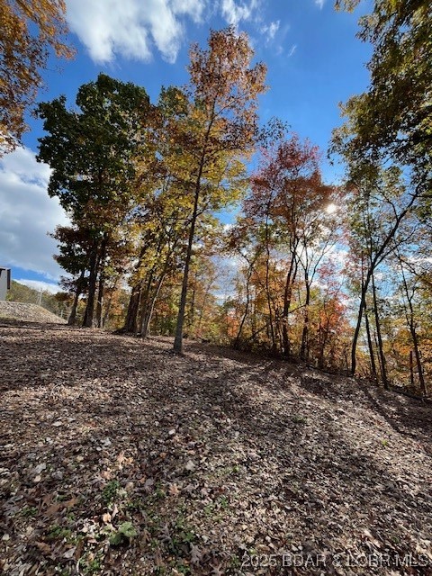 3579261 Property Photo 45