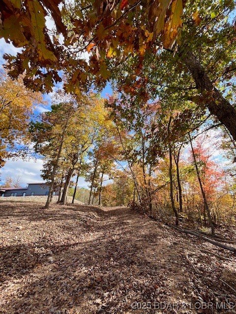3579261 Property Photo 54