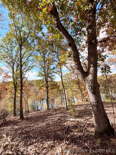 3579261 Property Photo 55