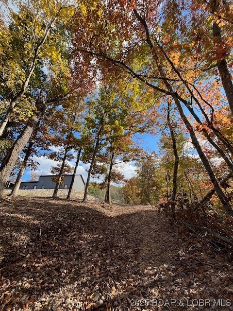 3579261 Property Photo 57