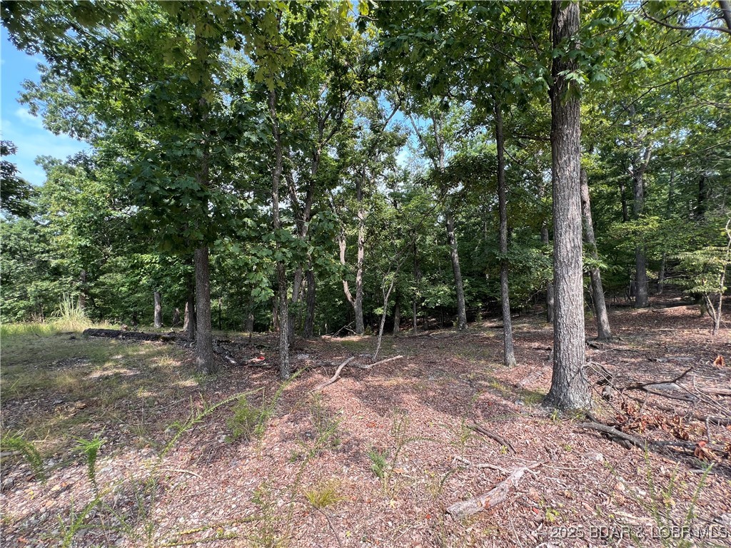 Lot 630 Eagle Drive Property Photo 1