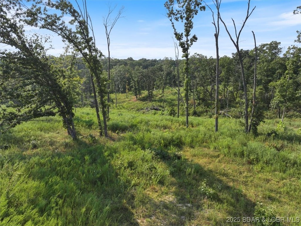 000 Old Tuscumbia Road Property Photo 8