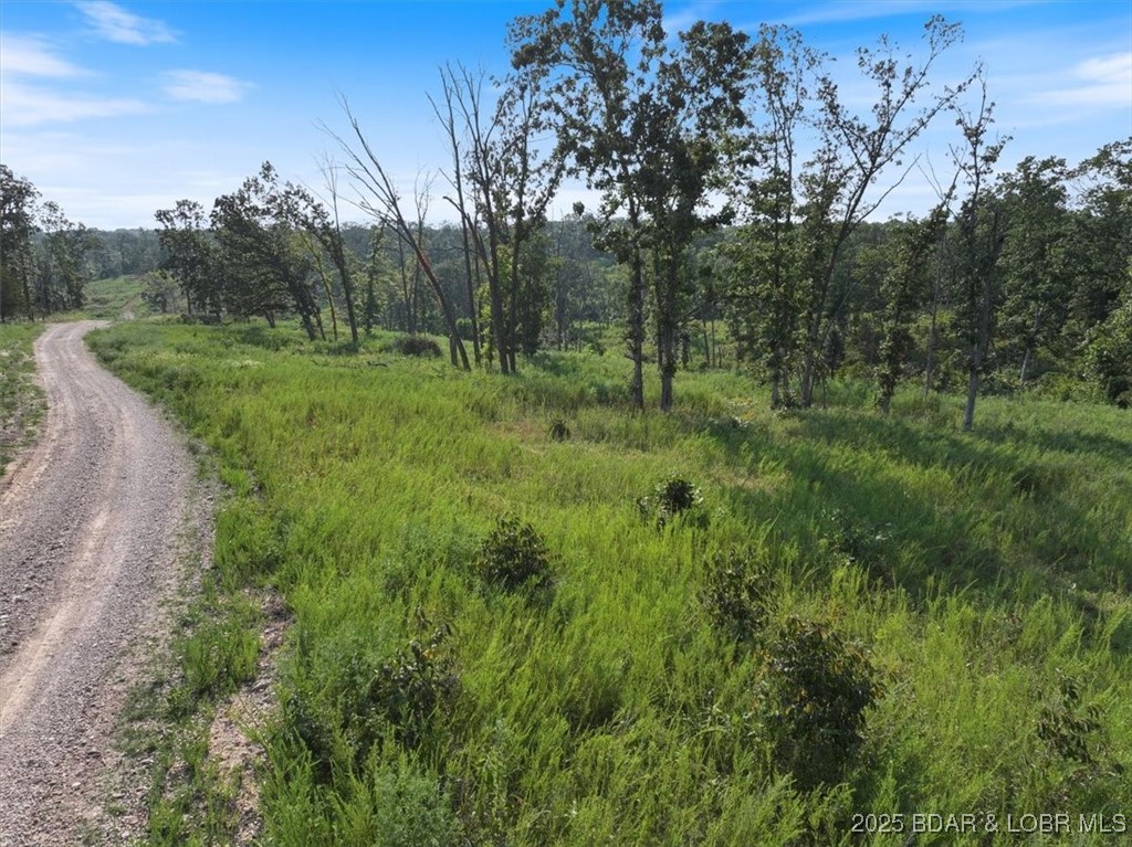 000 Old Tuscumbia Road Property Photo 9
