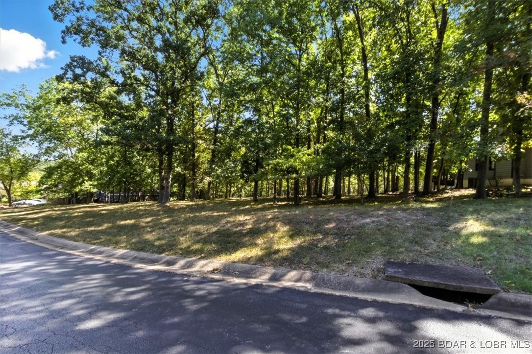 Lot 3, Oak Creek Drive Property Photo 19