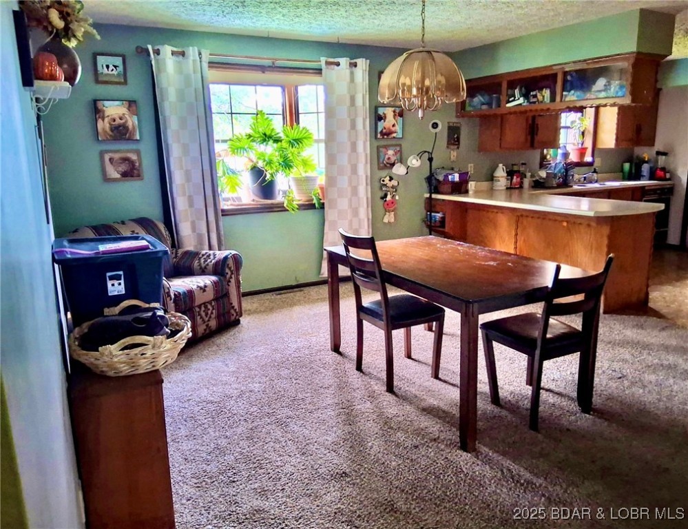 20605 28 Highway Property Photo 12