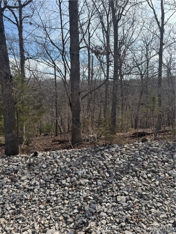 Lot 479 Parker Pt. Property Photo 1