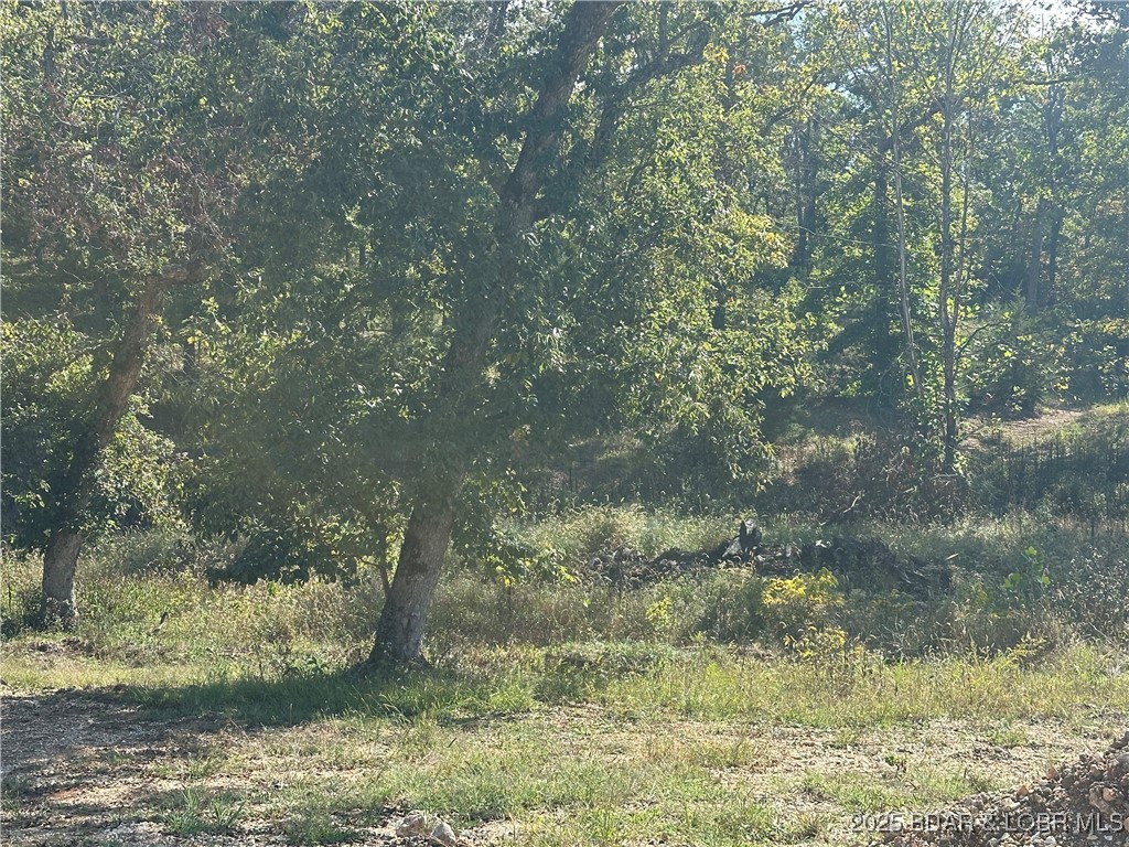 Lot 21 Mayerling Drive Property Photo 1