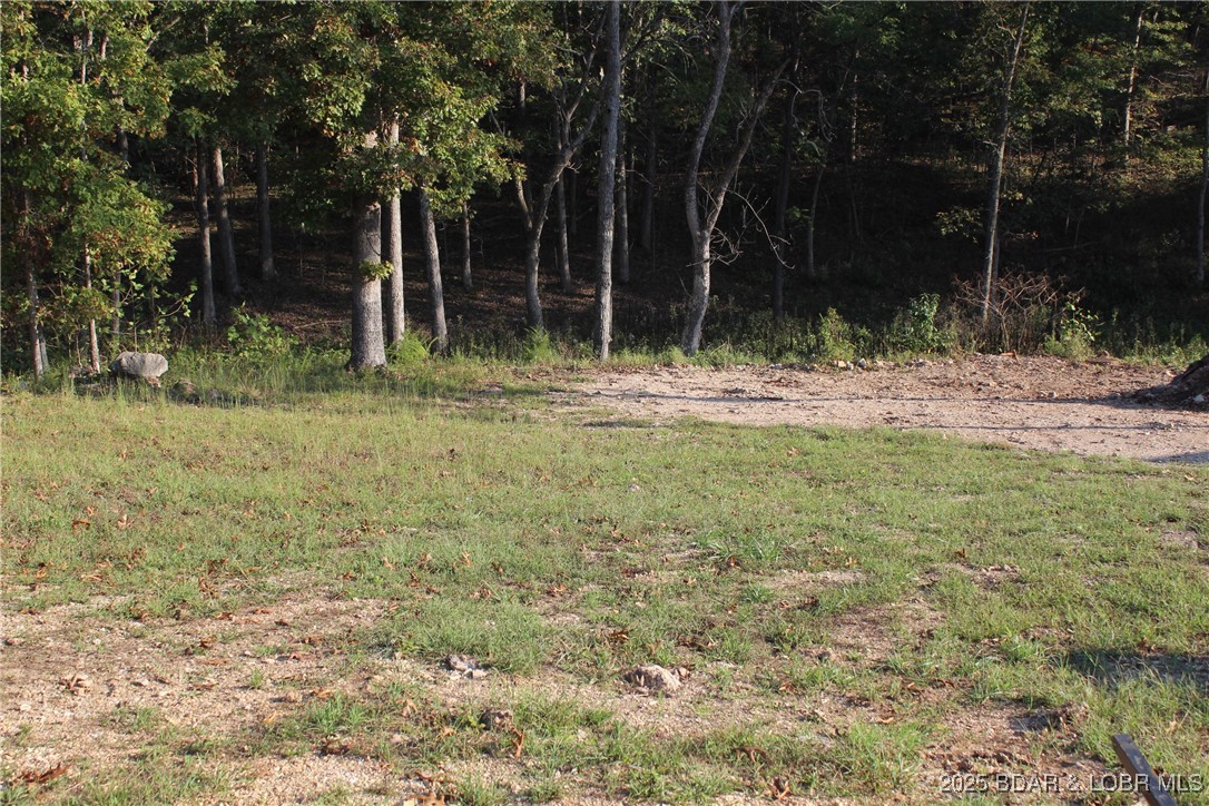 Lot 19 Mayerling Drive Property Photo 1
