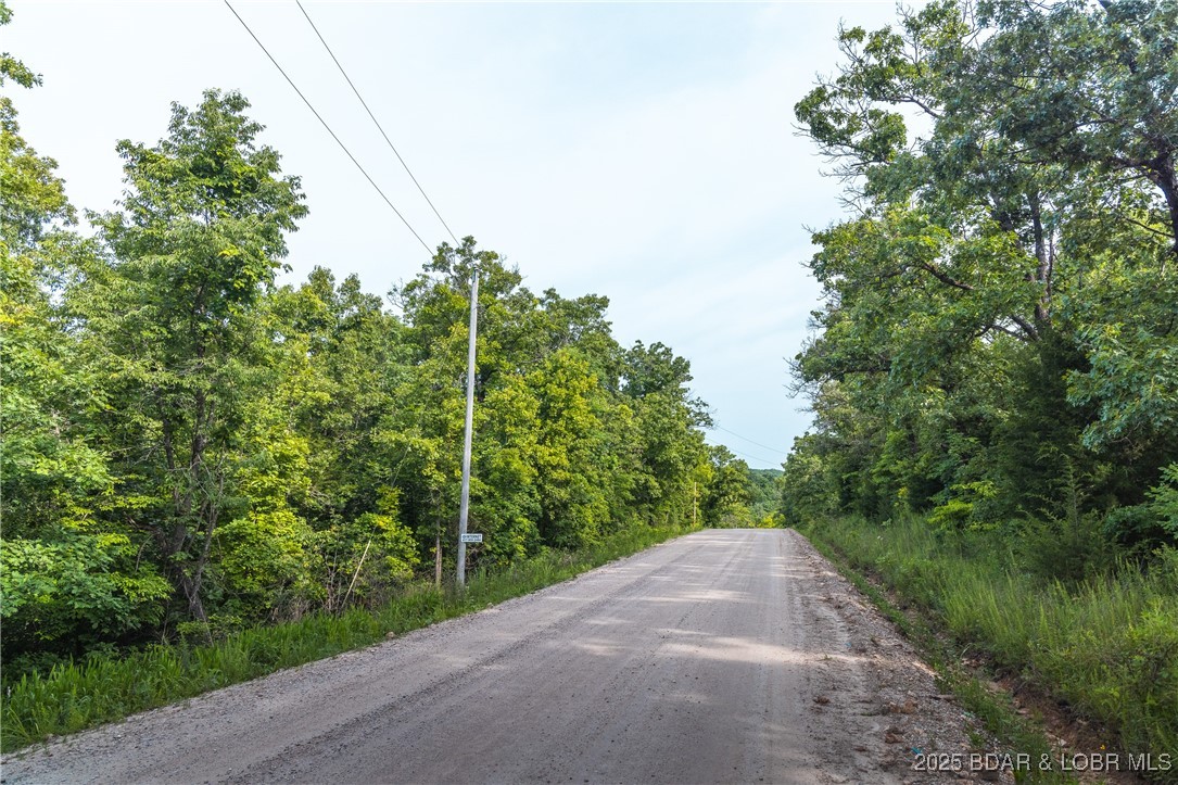 Tract 2 State Road Z Property Photo 7
